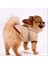 Beige Premium Peluş Küçük Irk Köpek Sweatshirtü (2 kg - 8 kg Arası Köpeklere Uygundur) 1