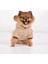 Beige Premium Peluş Küçük Irk Köpek Sweatshirtü (2 kg - 8 kg Arası Köpeklere Uygundur) 2