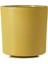 Caractere Kupa 220 ml Hardal 2