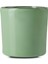 Caractere Kupa 220 ml Mint Yeşili 2