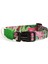 Köpek Boyun Tasması Hi Dream Aurora Series Neon 1
