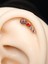 Dörtlü Mix 2 Taş Altın Tragus Helix 2