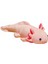 Gerçekçi Axolotl Iğı Axolotl Ş Axolotl Oyuncak (Yurt Dışından) 5