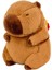 Capybara Gerçekçi Etkileş Oyuncak Karikatür Ev Dekorasyonu Çantası 45CM (Yurt Dışından) 2