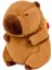 Capybara Gerçekçi Etkileş Oyuncak Karikatür Ev Dekorasyonu Çantası 45CM (Yurt Dışından) 5