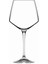 Aria 6'lı Kadeh Seti 720 ml 1