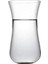 64072 Nude Anason Rakı Bardağı 6'lı 1