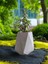 Mini Bonsai Para Ağacı Dekoratif Taş Saksıda 2