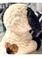 LWJG120。11.8 Inç Peluş Köpek Doldurulmuş Hayvan, Macera Doldurulmuş Köpek Oyuncak, Cesur Erkek ve Kız Odası Köpek Peluş Dekor, (Yurt Dışından) 4