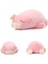 LWJG120。PELUŞ Domuz Peluş Oyuncak Piggy Süper Yumuşak Peluş Oyuncak Pembe 10 Inç (Yurt Dışından) 4