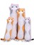LWJG120。SEVIMLI Kedi Peluş Uzun Vücut Yastık Kucaklama Karikatür Doldurulmuş Hayvan Kedi Peluş Yumuşak Bebek Yastık Çocuk Kız Hediye (Gri, 19 Inç), 1 Parça (1'li Paket) (Yurt Dışından) 1