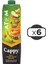 Atom Meyve Suyu 1 lt x 6 Adet 2