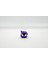 Gastly - Haunter - Gengar Pokemon 3lü Set 2