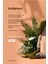 Saç Bakım Maskesi Volumizer Mask 500 Ml 2