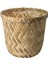 Klynnon Saksı Bambu 9 cm 20523239 1