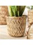 Klynnon Saksı Bambu 9 cm 20523239 2
