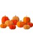 - Honeycomb Pumpkins - Petekli Bal Kabakları - 10'lu 1