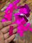 50 Adet 4 x 2 cm Fuşya Pembe Delikli Pul Payet Çanta Pulu 3