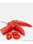 İthal Jalapeno Kırmızı Acı Meksika Biberi Tohumu 5 Adet 1