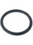 Oring 6131 Megane Enjeksıyon Bogaz Orıngı Kalın 1