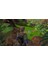 Dinosaurs: Mission Dino Camp Ps5 Oyun 3