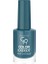 Color Expert Naıl Lacquer NO:161 1