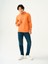 Regular Fit Erkek Sweatshirt 2