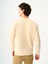 Regular Fit Erkek Sweatshirt 3