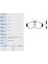 Kb Hı-Q Sp1581 Fren Balatası Ön Almera 01-07 Prımera 1.6 2.0Cc >99 Oval Tip 1