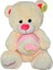 Nessi World 001527 Doğum Günü Pastalı Peluş Ayı 48 cm 1