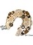 Alt Dıot Tablası 120A 12 Dıot N.Denso Tıpı Ford Focus Cmax Ranger Dodge Jeep Volvo M8 Cıvata Rn-29 1