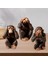 3x Orangutan Figürleri Üstü Süslemeleri Orta Odası Kitaplık (Yurt Dışından) 2