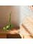 Reçine Yoga Kurbağa Figürleri Meditasyon Dekoratif Süs Dekorasyonları Tek Bacaklı Ü (Yurt Dışından) 5