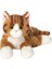 Brave Bull。8 Inç Kedi Peluş Oyuncak - Kedi Peluş Oyuncak - Oyuncak Kedi (Yurt Dışından) 1