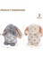 Brave Bull。tavşan Peluş Oyuncak 2'li Set Süper Yumuşak Kumaş Bebek Peluş Tavşan Oyuncak 2 Peluş Tavşan Disket Kulaklı Krem ve Gri (Yurt Dışından) 4