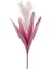 Seta Fw Pembe Tüy Yaprak 112 cm 2