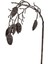 Seta Fw Antique Yaprak Tomurcuklu 79 cm 1