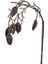 Seta Fw Antique Yaprak Tomurcuklu 79 cm 2