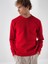 Erkek Kırmızı Pamuk Dokulu Regular Fit Sweatshirt 2