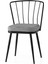 Modern Mutfak Cafe Bahçe Sandalyesi Buse 2'li Set 2