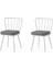 Modern Mutfak Cafe Bahçe Sandalyesi Buse 2'li Set 1
