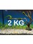 Akvaryum Bitki Kumu Dere Kumu 2 kg 2