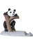 Panda Üstü Karikatür Dekoru Tabanlı Heykel (Yurt Dışından) 3