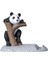Panda Üstü Karikatür Dekoru Tabanlı Heykel (Yurt Dışından) 5