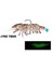 Caridex 65MM 6.3gr Silikon Karides F01 Jelly 5