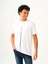 Regular Fit Erkek Tshirt K.kol 1