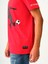 Regular Fit Erkek Tshirt K.kol 5