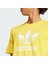 Originals IR7977 Adicolor Trefoil Tee 4