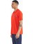 Fiesta Yazı Baskılı Standart Form Polo Yaka Erkek T-shirt - 88236 4