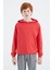 Fiesta Kapüşonlu Basic Erkek Çocuk Sweatshirt - 11181 1